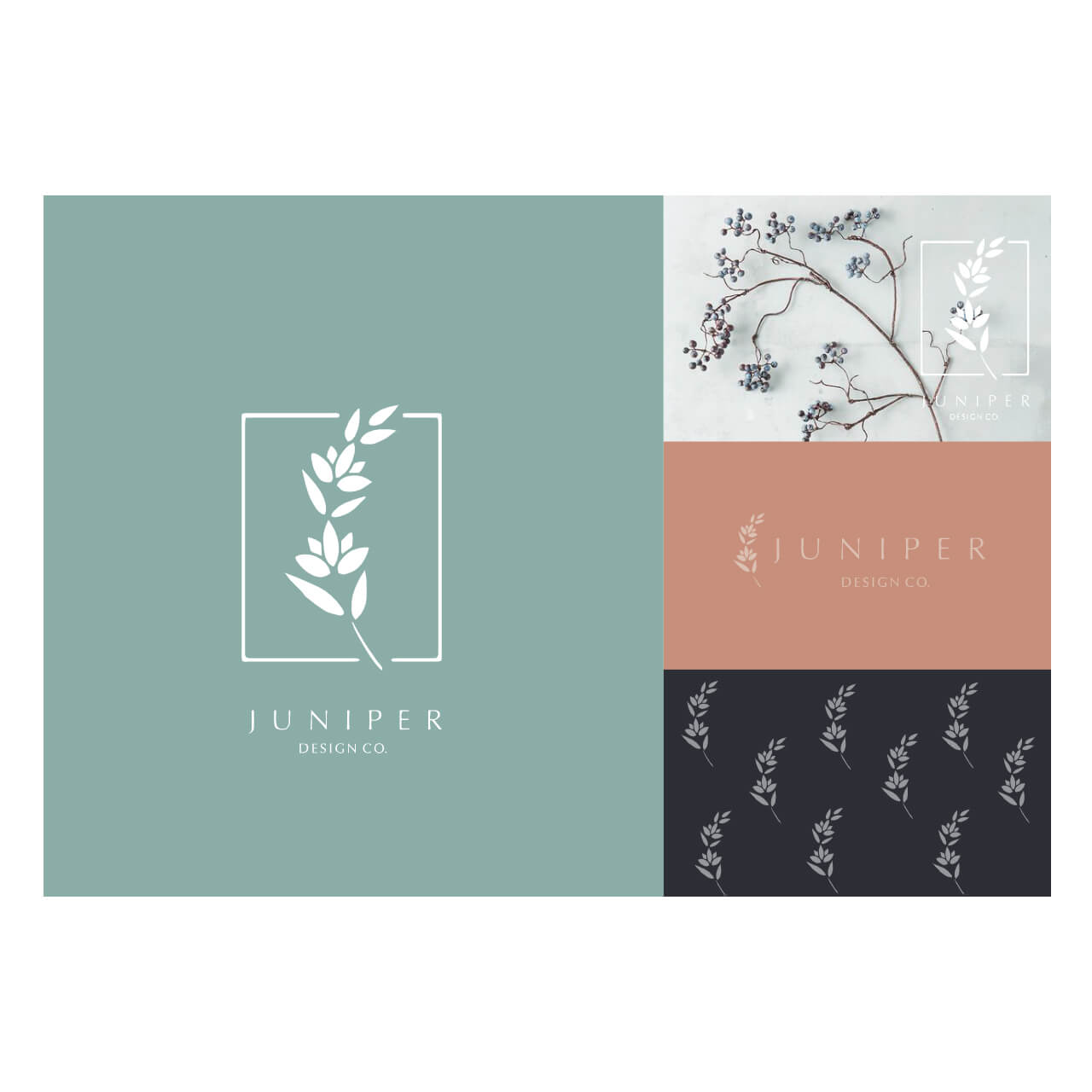 juniper