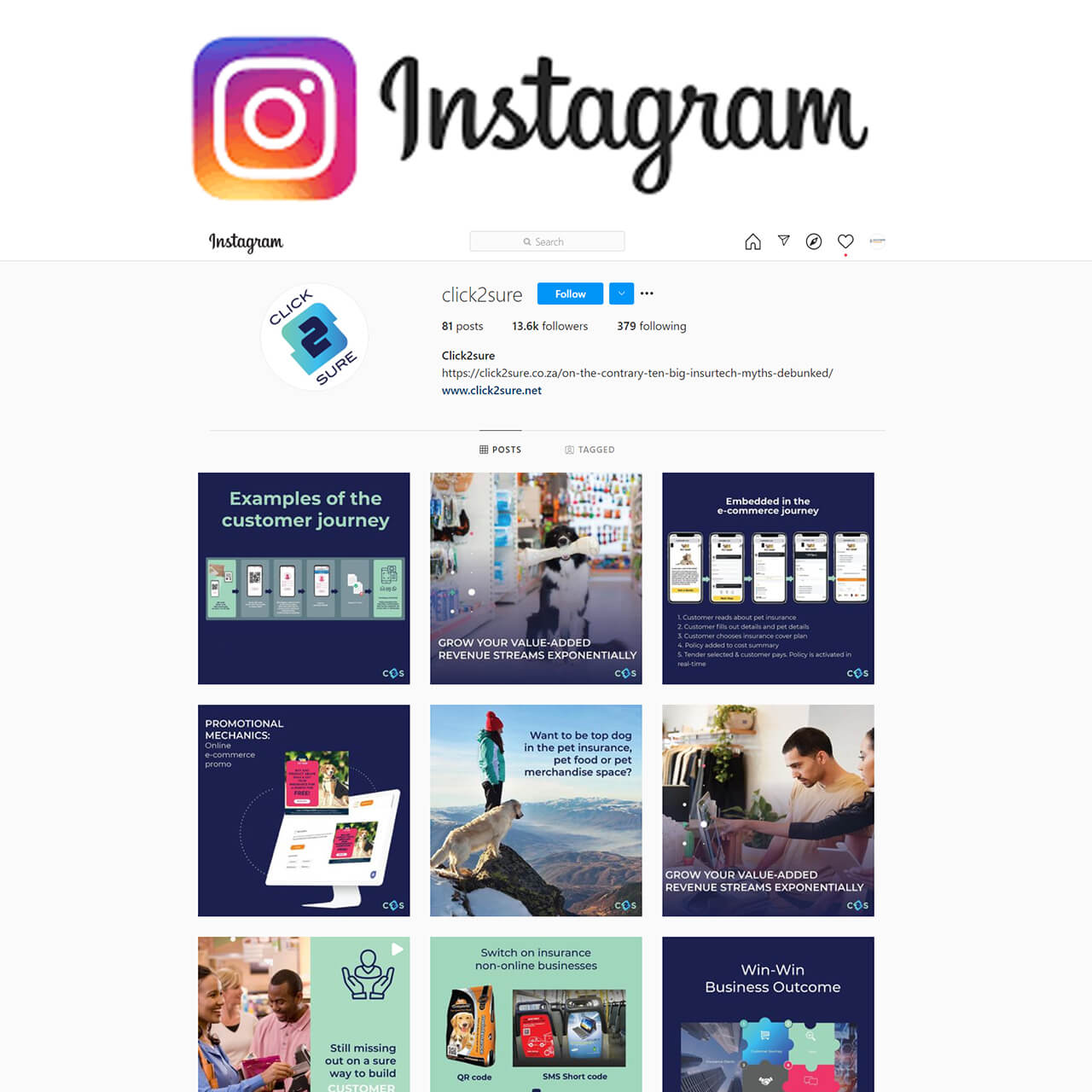 c2s insta