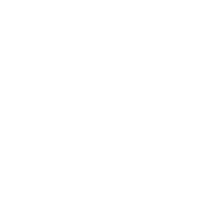 logo-yg